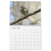 Calendrier des oiseaux jardins - Édition 2 (Jan 2027)