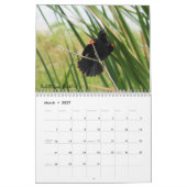 Calendrier des oiseaux jardins - Édition 2 (Mar 2027)