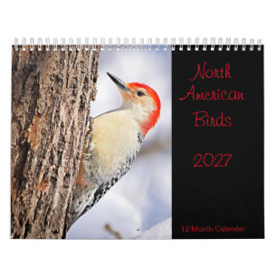 Calendrier des oiseaux nord-américains 2027
