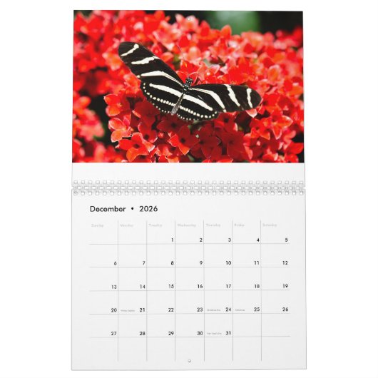 Calendrier des oiseaux, papillons et fleurs (Dec 2026)