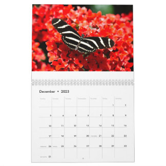 Calendrier des oiseaux, papillons et fleurs