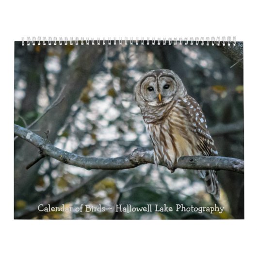 Calendrier des oiseaux Photographie du lac Hallowe (Protection)