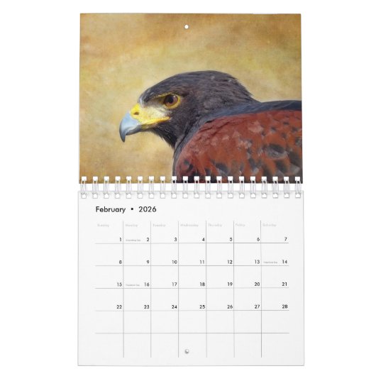 Calendrier des oiseaux pour 2017 (Feb 2026)