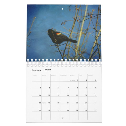 Calendrier des oiseaux pour 2017 (Jan 2026)