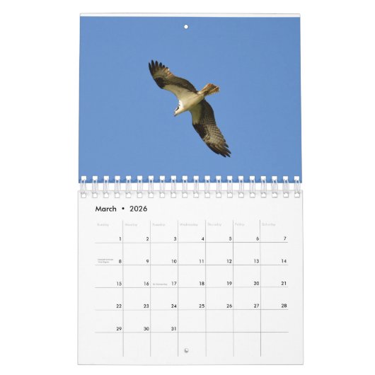 Calendrier des oiseaux pour 2017 (Mar 2026)