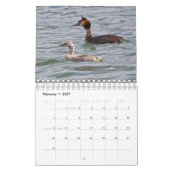 Calendrier des oiseaux pour bébés (Feb 2027)