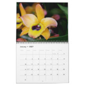 Calendrier des orchidées (Jan 2027)
