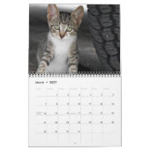 Calendrier des orchidées (Mar 2027)