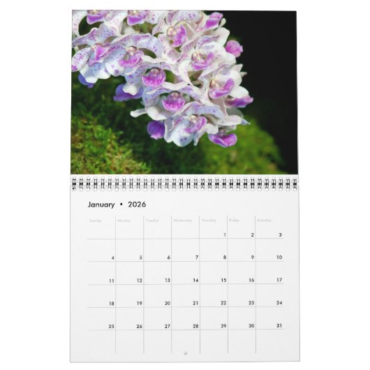 Calendrier des orchidées (Jan 2026)