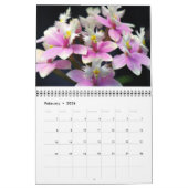 Calendrier des orchidées (Feb 2026)