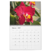 Calendrier des orchidées (Feb 2027)