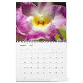 Calendrier des orchidées (Jan 2027)