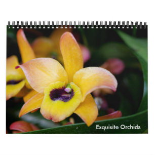 Calendrier des orchidées