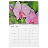 Calendrier des orchidées (Mar 2026)