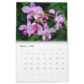 Calendrier des orchidées (Feb 2026)