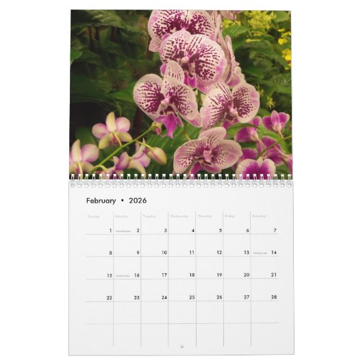 Calendrier des orchidées du dos (Feb 2026)