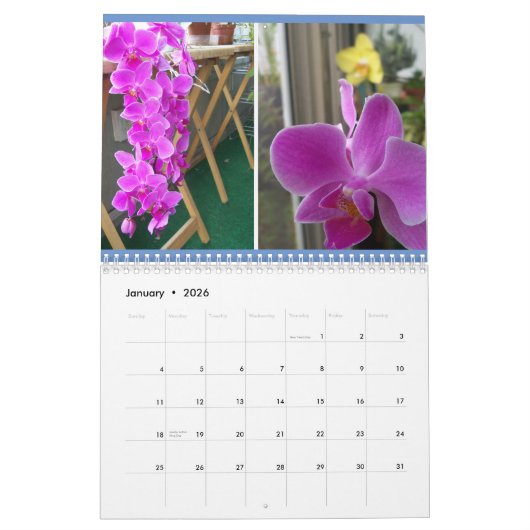 Calendrier des orchidées du dos (Jan 2026)