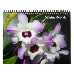 Calendrier des orchidées éblouissantes