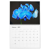 Calendrier des orchidées incroyables (Feb 2027)