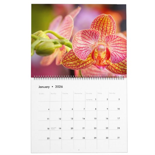 Calendrier des orchidées incroyables (Jan 2026)