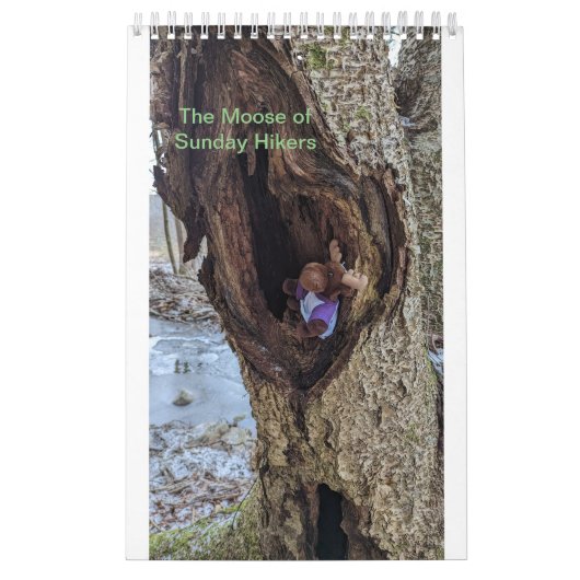 Calendrier des orignaux (Protection)