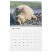 Calendrier des Otaries 2026 (Mar 2027)
