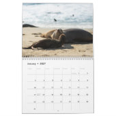 Calendrier des Otaries 2026 (Jan 2027)