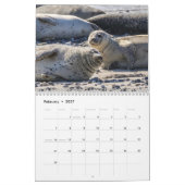 Calendrier des Otaries 2026 (Feb 2027)