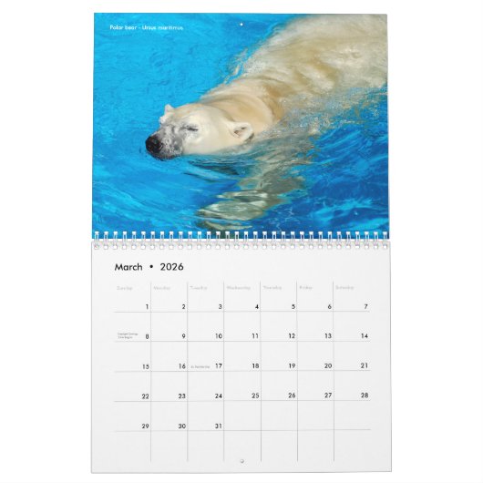 Calendrier des ours (Mar 2026)
