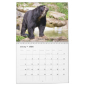Calendrier des ours (Jan 2026)