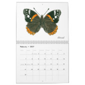 Calendrier des papillons (Feb 2027)