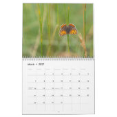 Calendrier des papillons (Mar 2027)