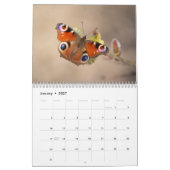 Calendrier des papillons (Jan 2027)