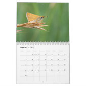 Calendrier des papillons (Feb 2027)