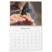 Calendrier des papillons (Feb 2027)