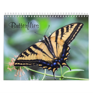 Calendrier des papillons