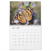 Calendrier des papillons (Mar 2026)