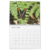 Calendrier des papillons (Jan 2026)