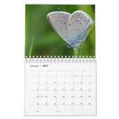 Calendrier des papillons (Jan 2027)