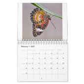 Calendrier des papillons (Feb 2027)