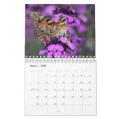 Calendrier des papillons (Mar 2027)