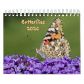 Calendrier des papillons (Protection)