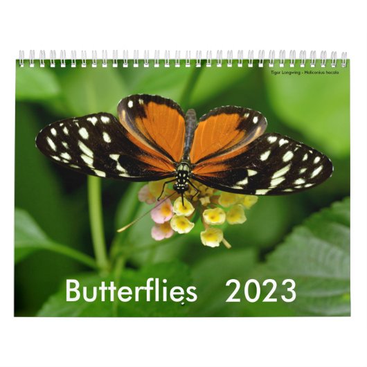 Calendrier des papillons (Protection)