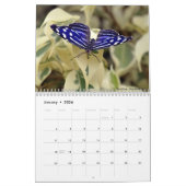 Calendrier des papillons (Jan 2026)