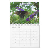 Calendrier des papillons 2010 (Feb 2027)