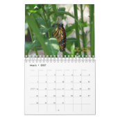 Calendrier des papillons 2010 (Mar 2027)