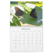 Calendrier des papillons 2011 (Feb 2027)