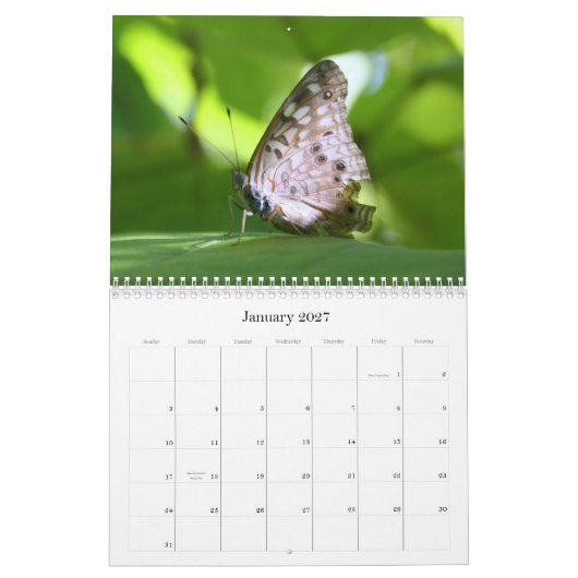 Calendrier des papillons 2011 (Jan 2027)