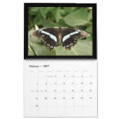 Calendrier des papillons 2014 (Feb 2027)