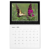 Calendrier des papillons 2017 par Thomas Minutolo (Mar 2026)